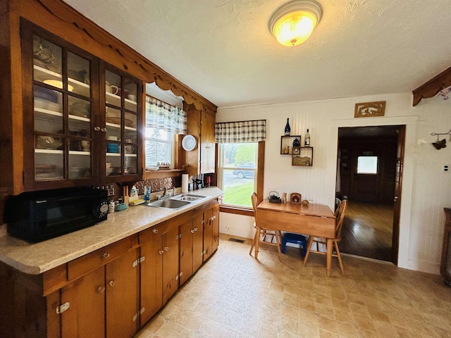 6998 River Rd, Lemington, VT 05903 - kitchen featuring black microwave, a sink, light countertops, glass insert cabinets, and baseboards