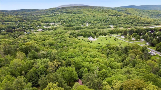 379 Swallow Hill Rd, Pownal, VT 05261 - drone / aerial view of a forest and mountains