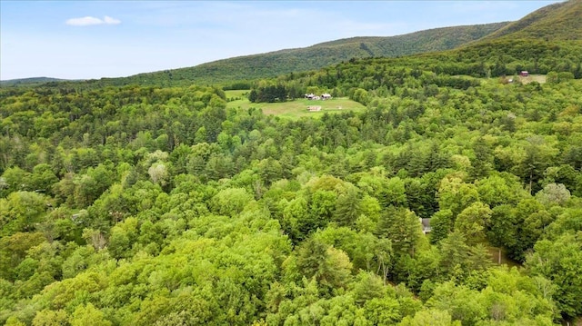 379 Swallow Hill Rd, Pownal, VT 05261 - mountain view featuring a forest