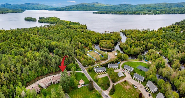 11 Village W Dr Unit 5, Bristol, NH 03222 - bird's eye view of a water and mountain view and a heavily wooded area