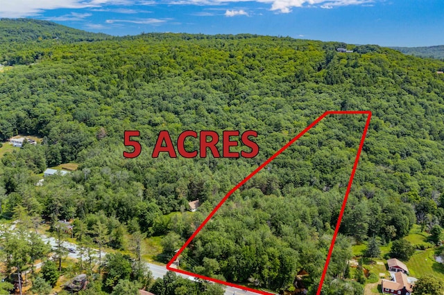 LOT5 Mayhew Tpke, Bridgewater, NH 03222