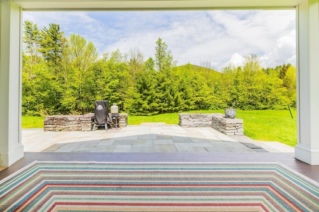 543 Lower Hollow Rd, Dorset, VT 05251 - view of patio