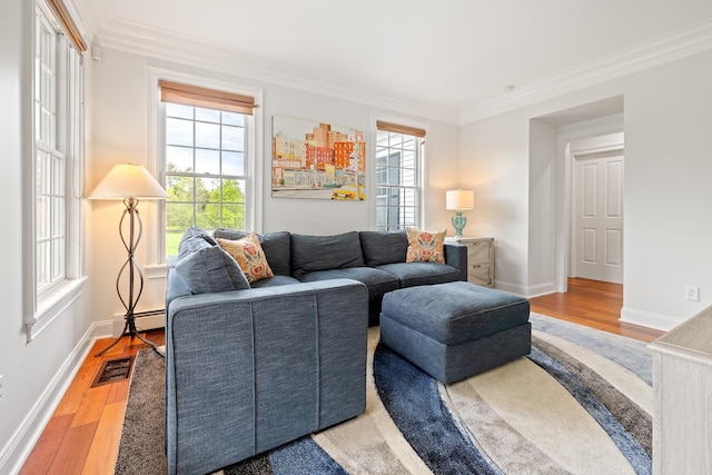 543 Lower Hollow Rd, Dorset, VT 05251 - living room featuring a baseboard radiator, ornamental molding, wood finished floors, and baseboards