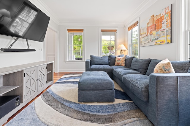 543 Lower Hollow Rd, Dorset, VT 05251 - living room featuring ornamental molding, wood finished floors, and baseboards