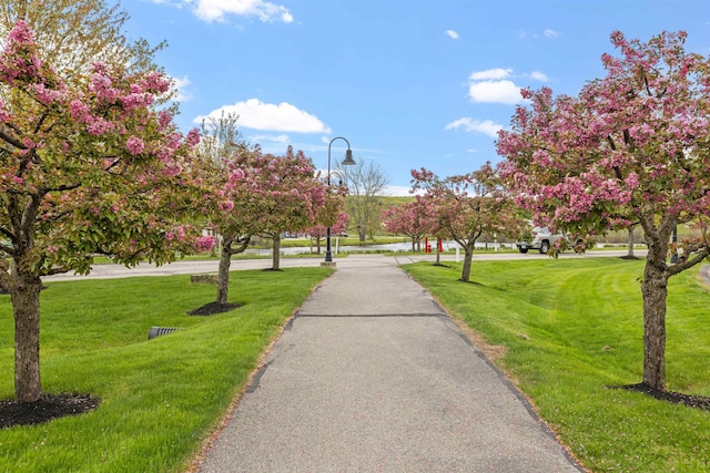 48 Landing Ln Unit 15, Laconia, NH 03246 - view of home's community featuring a lawn