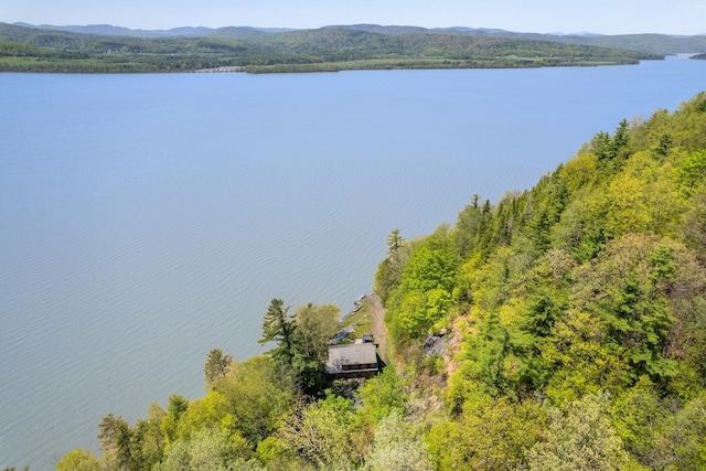 213 Singing Cedars Rd, Orwell, VT 05760 - aerial view of a nearby body of water and a forest