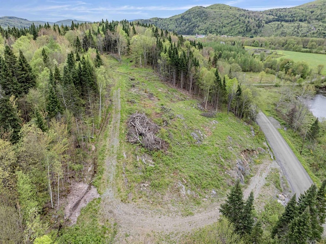 - Halls Stream Road, Pittsburg, NH 03592
