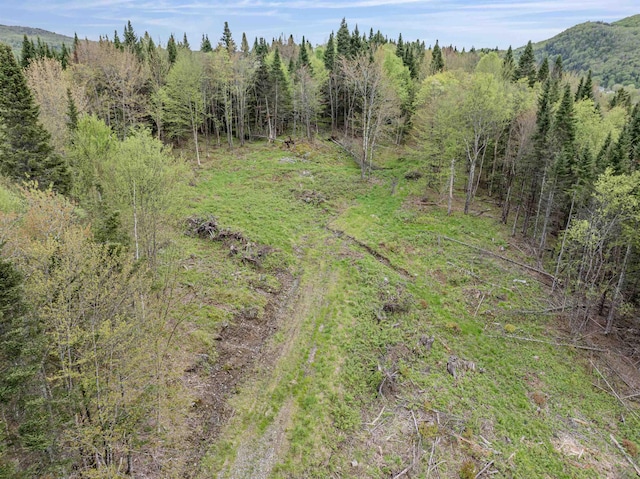 - Halls Stream Road, Pittsburg, NH 03592