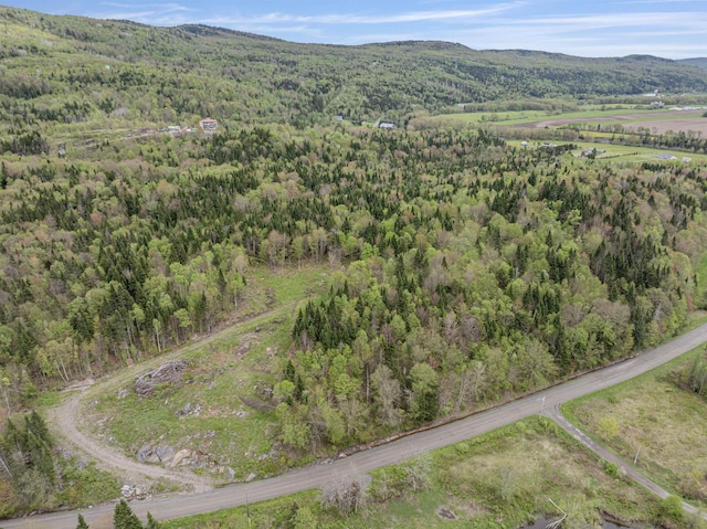 - Halls Stream Road, Pittsburg, NH 03592