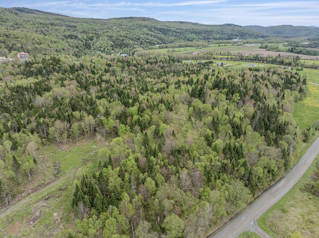 - Halls Stream Road, Pittsburg, NH 03592