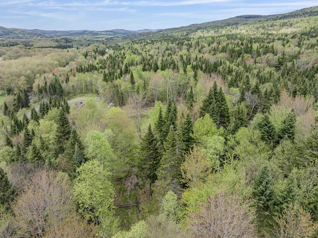 - Halls Stream Road, Pittsburg, NH 03592