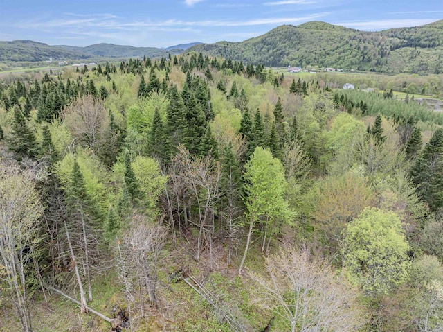 - Halls Stream Road, Pittsburg, NH 03592