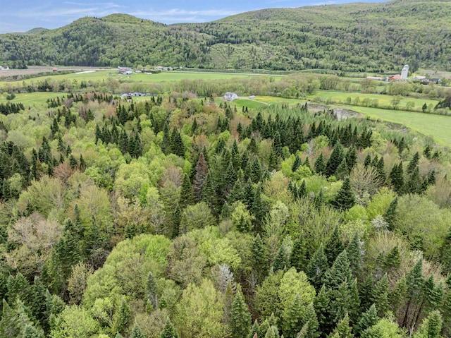 - Halls Stream Road, Pittsburg, NH 03592