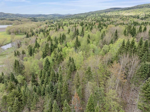 - Halls Stream Road, Pittsburg, NH 03592