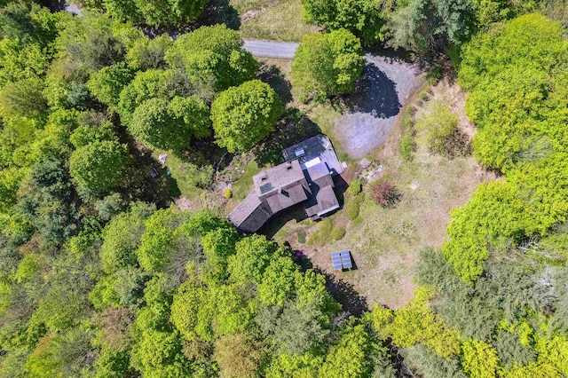44 Clarksville Rd, Tunbridge, VT 05077 - view from above of property