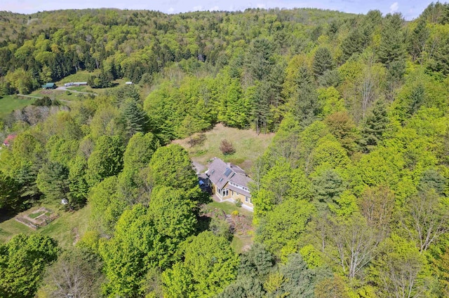 44 Clarksville Rd, Tunbridge, VT 05077 - view of subject property featuring a heavily wooded area
