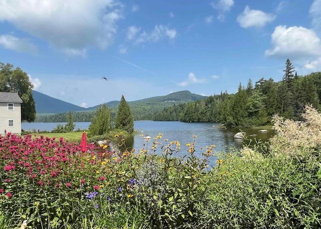 43 Kimberly Ln, Westmore, VT 05871 - water view featuring mountains and a forest