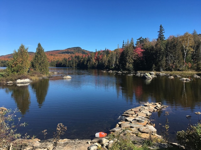 43 Kimberly Ln, Westmore, VT 05871 - water view with a forest and a mountain backdrop