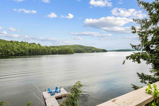 75 Westwood Rd, Sunapee, NH 03782 - water view with a dock and a heavily wooded area