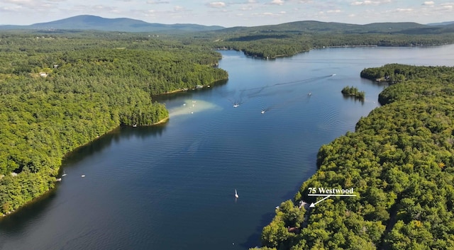 75 Westwood Rd, Sunapee, NH 03782 - drone / aerial view of a forest and a water and mountain view