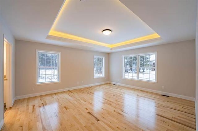 153 Ann Marie Ln, Colchester, VT 05446 - spare room with a tray ceiling, light wood-style flooring, and baseboards