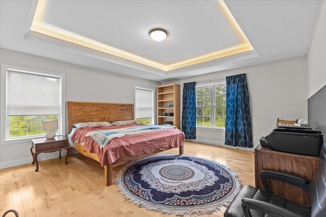 153 Ann Marie Ln, Colchester, VT 05446 - bedroom with a tray ceiling, wood finished floors, and baseboards