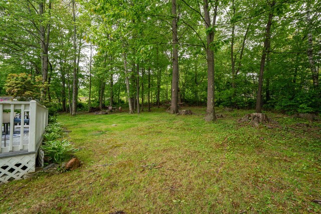 11 Beauchesne Dr, Hooksett, NH 03106 - view of yard