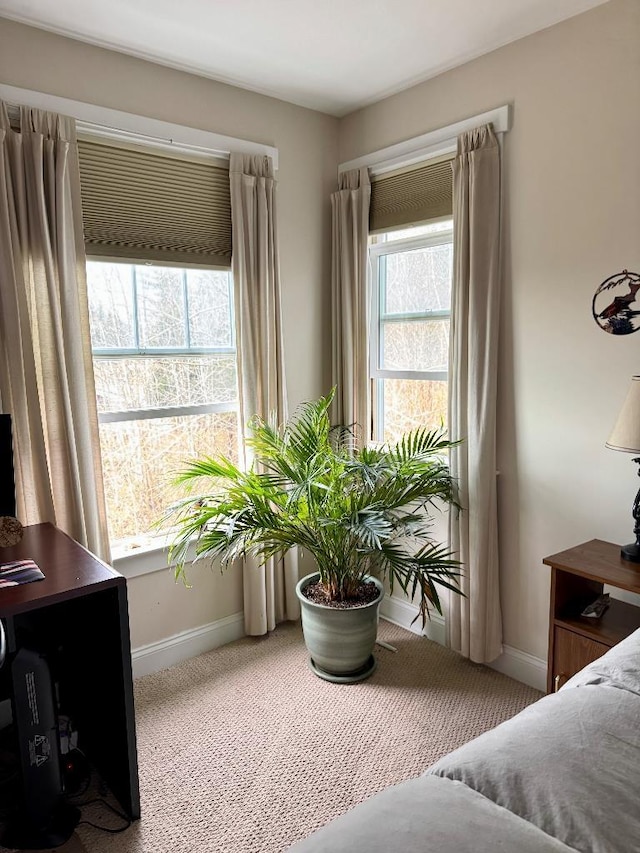 1 Stannard Dr, Essex, VT 05452 - carpeted bedroom with baseboards and multiple windows