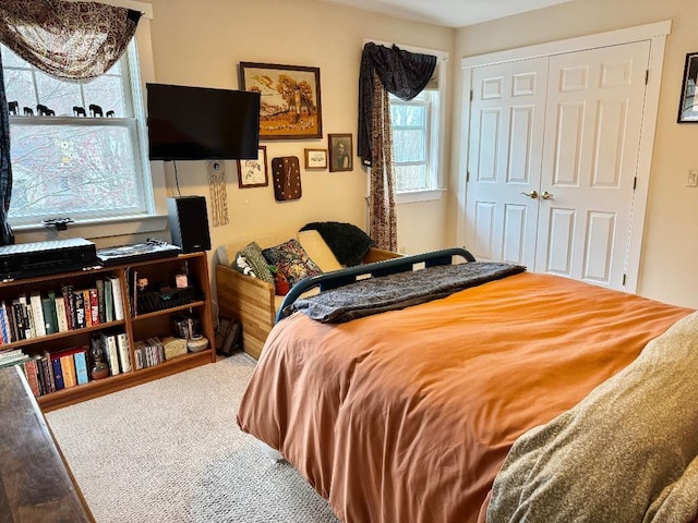 1 Stannard Dr, Essex, VT 05452 - bedroom with carpet flooring and a closet