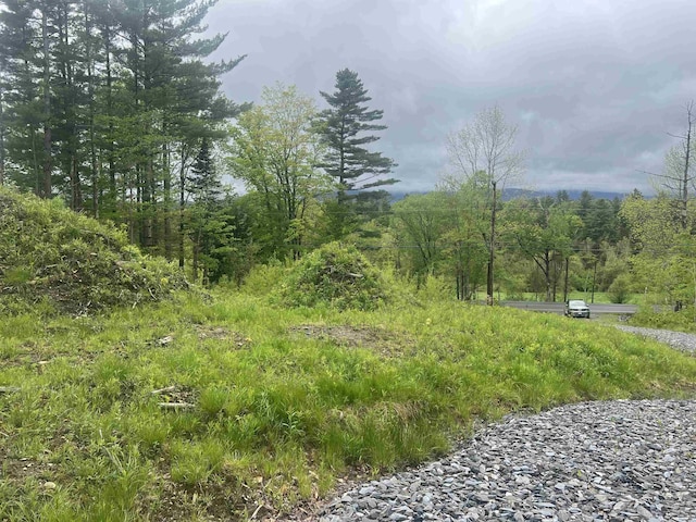 000 E Warren Rd, Warren, VT 05674