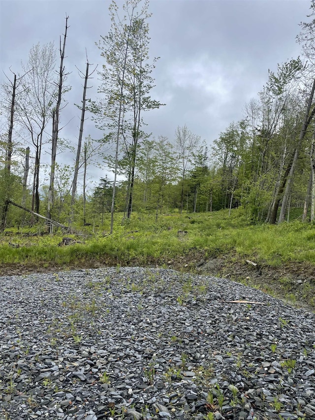 000 E Warren Rd, Warren, VT 05674