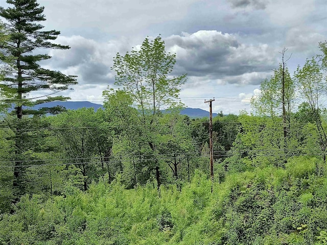 000 E Warren Rd, Warren, VT 05674