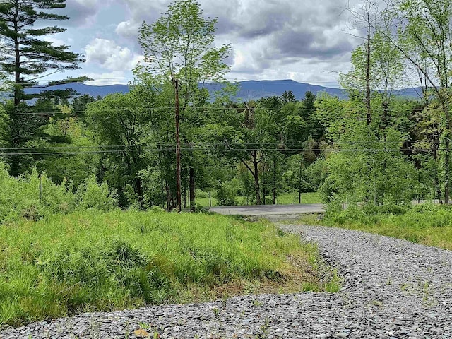 000 E Warren Rd, Warren, VT 05674