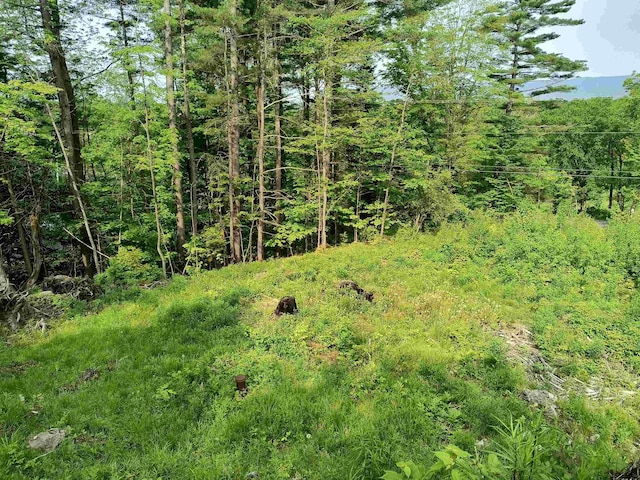 000 E Warren Rd, Warren, VT 05674