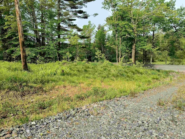 000 E Warren Rd, Warren, VT 05674