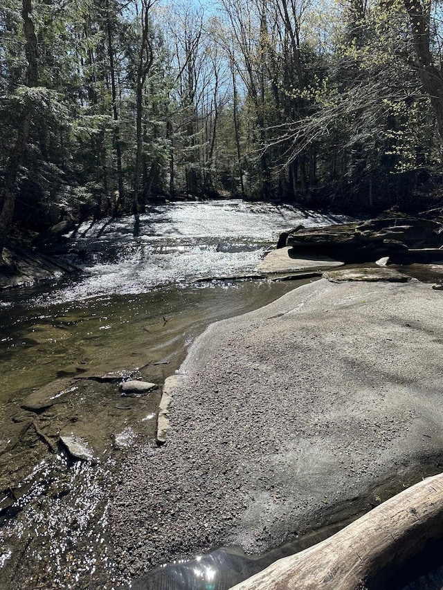 2884 Tampico Rd, Danville, VT 05828 - water view featuring a forest