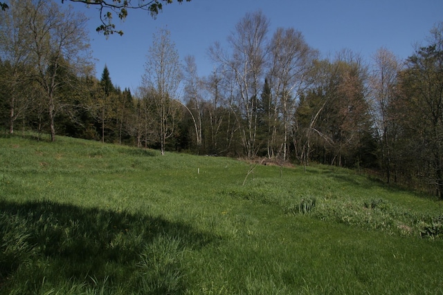 2884 Tampico Rd, Danville, VT 05828 - view of yard featuring a forest view