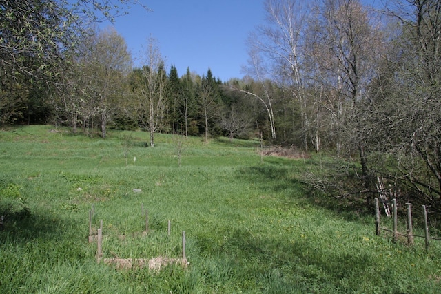 2884 Tampico Rd, Danville, VT 05828 - view of wooded area