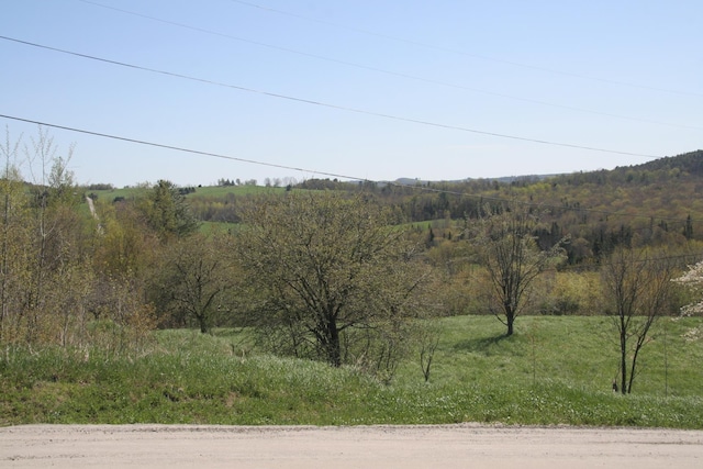 2884 Tampico Rd, Danville, VT 05828 - view of mountain background featuring a forest