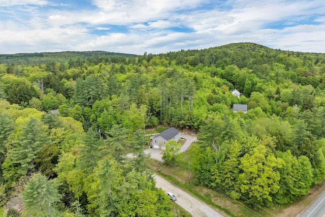 10 Call Rd, Webster, NH 03303 - view from above of property with a heavily wooded area