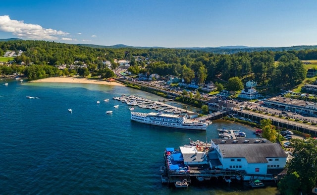 65 Sanborn St, Laconia, NH 03246 - aerial view of a nearby body of water, a forest, and a marina