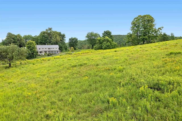 2192 Jack Hill Rd, Calais, VT 05650 - view of yard with a view of rural / pastoral area and a view of trees