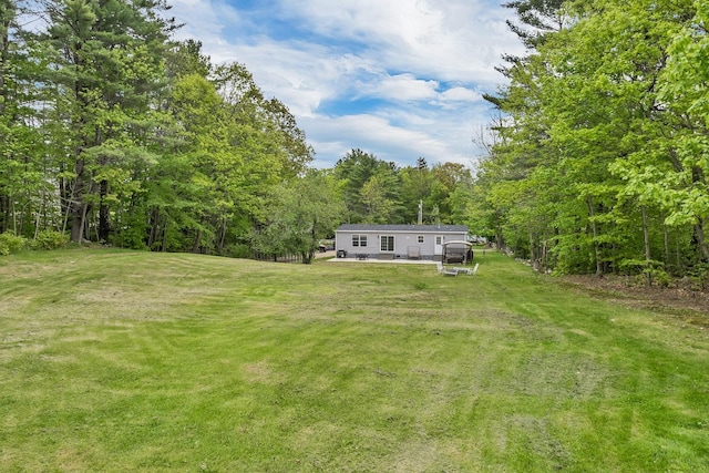 29 Stoneham Rd Unit 4, Wakefield, NH 03872 - view of grassy yard with a view of trees