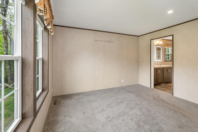 29 Stoneham Rd Unit 4, Wakefield, NH 03872 - empty room with carpet flooring and ornamental molding