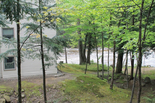16 Penstock Rd Unit 4, Lincoln, NH 03251 - view of yard with a water view
