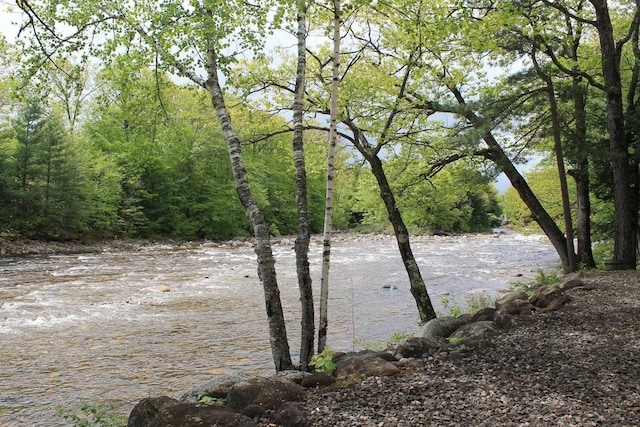 16 Penstock Rd Unit 4, Lincoln, NH 03251 - water view with a forest