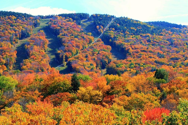 16 Penstock Rd Unit 4, Lincoln, NH 03251 - view of mountain background featuring a heavily wooded area