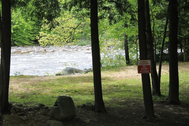 16 Penstock Rd Unit 4, Lincoln, NH 03251 - water view with a heavily wooded area