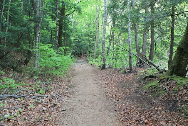 16 Penstock Rd Unit 4, Lincoln, NH 03251 - view of road featuring a forest view