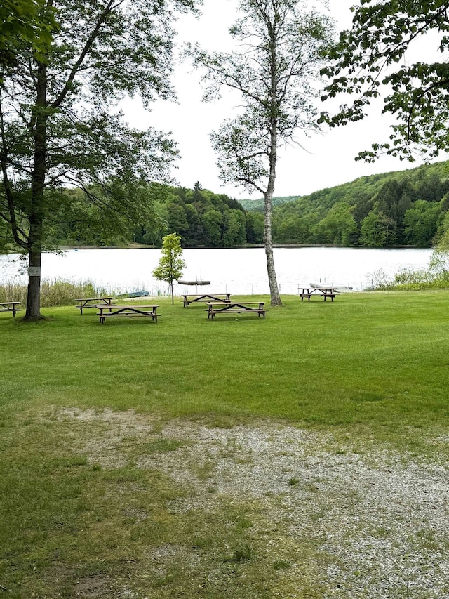 191 Highland Rd, Wallingford, VT 05773 - view of property's community with a water view, a yard, and a forest view
